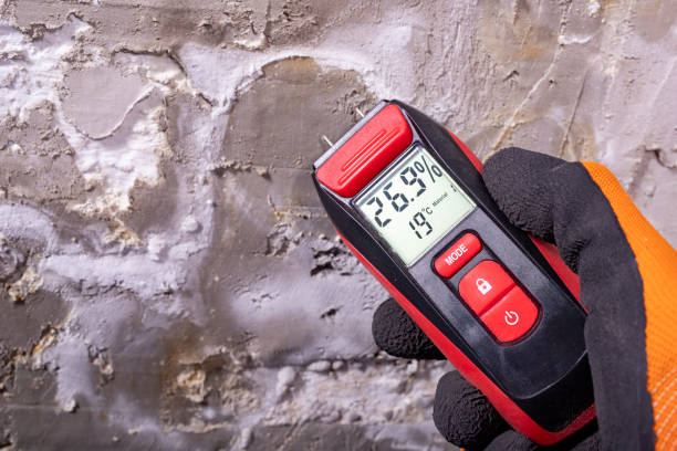 Professional Mold Remediation in Rural Hall, NC