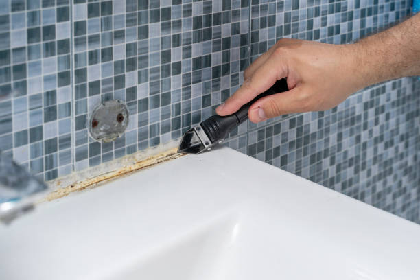 Best Industrial Mold Remediation in Rural Hall, NC